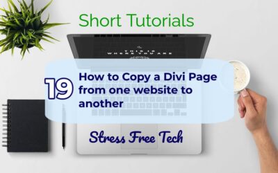 How to Copy a Divi Page from one Website to Another